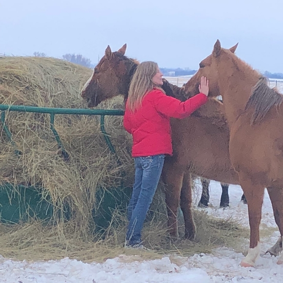 Meet your Posher, Phyllis - Picture 1 of 1